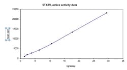 Eurofins DiscoverX STK39 Protein, Active 10 &mu;g | Buy Online | Eurofins DiscoverX | Fisher Scientific